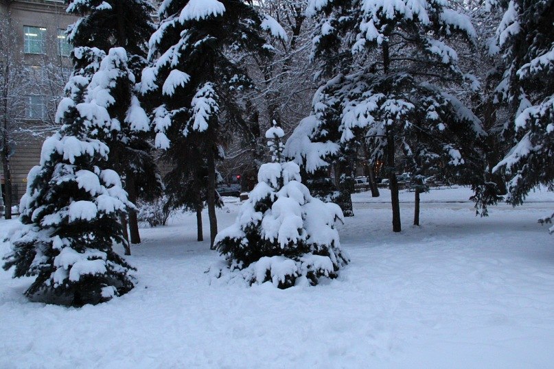 Ирина Мамичева | Волгоград