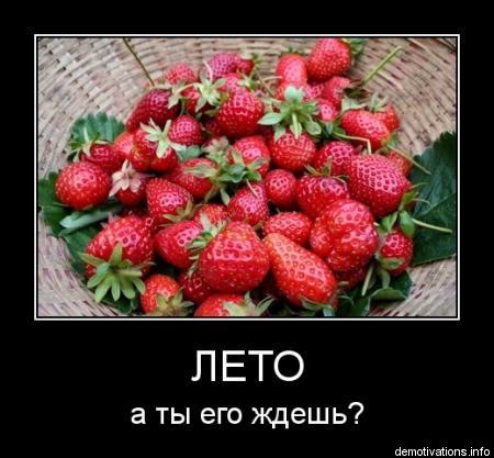 №41, Анна Асотова, 38 лет №41, Анна Асотова, 38 лет