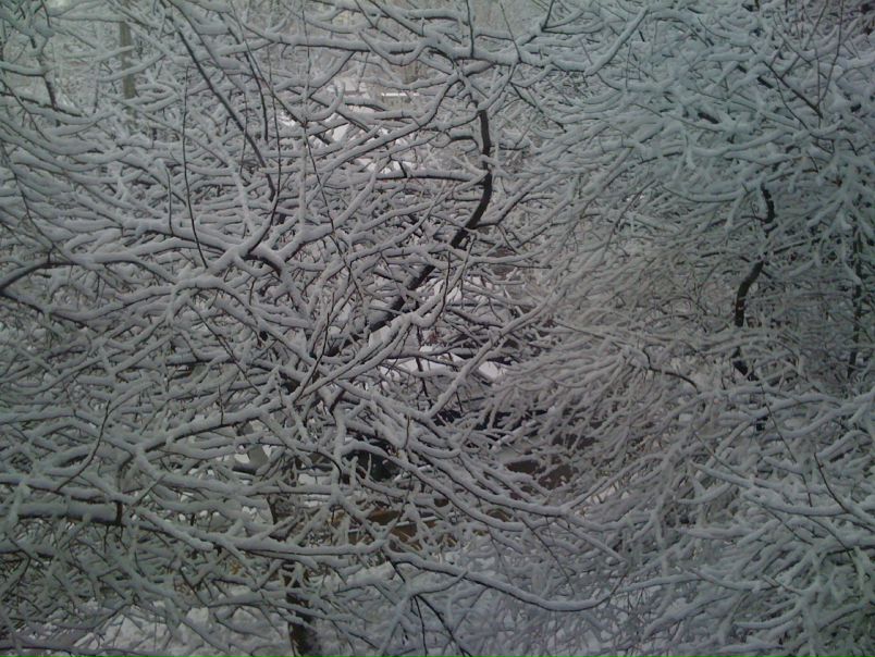 №8, Николай Редькин №8, Николай Редькин