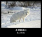 №2 Надежда Юлгушева 22.08: профиль, фото, статус - ВКонтакте