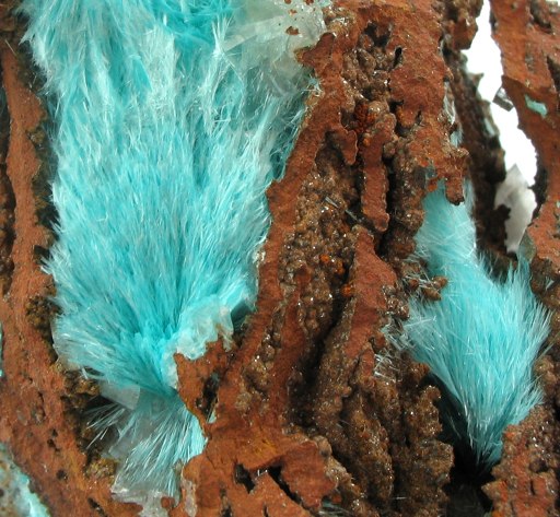 Анастасия Малкова | Долина Свободы