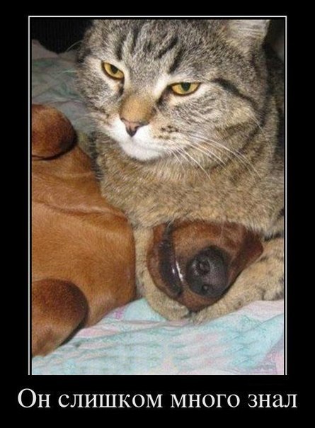 Ксения Чулкова | 