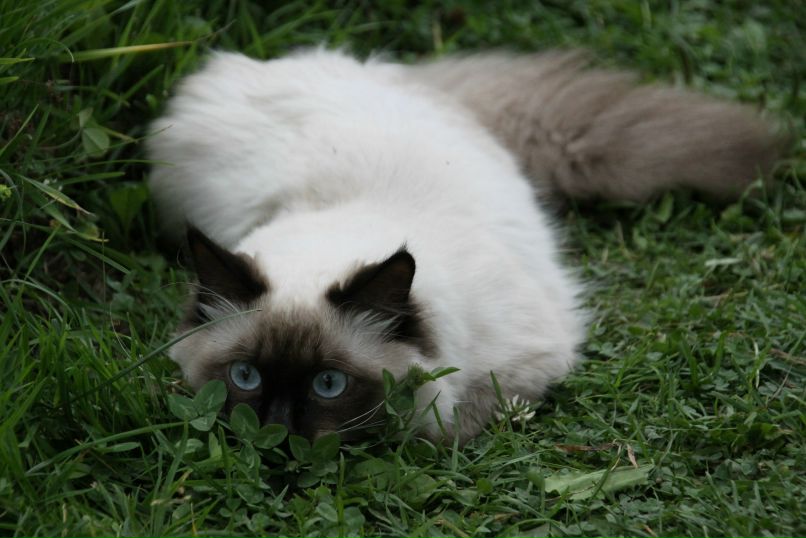 Любовь Матвиевская | 