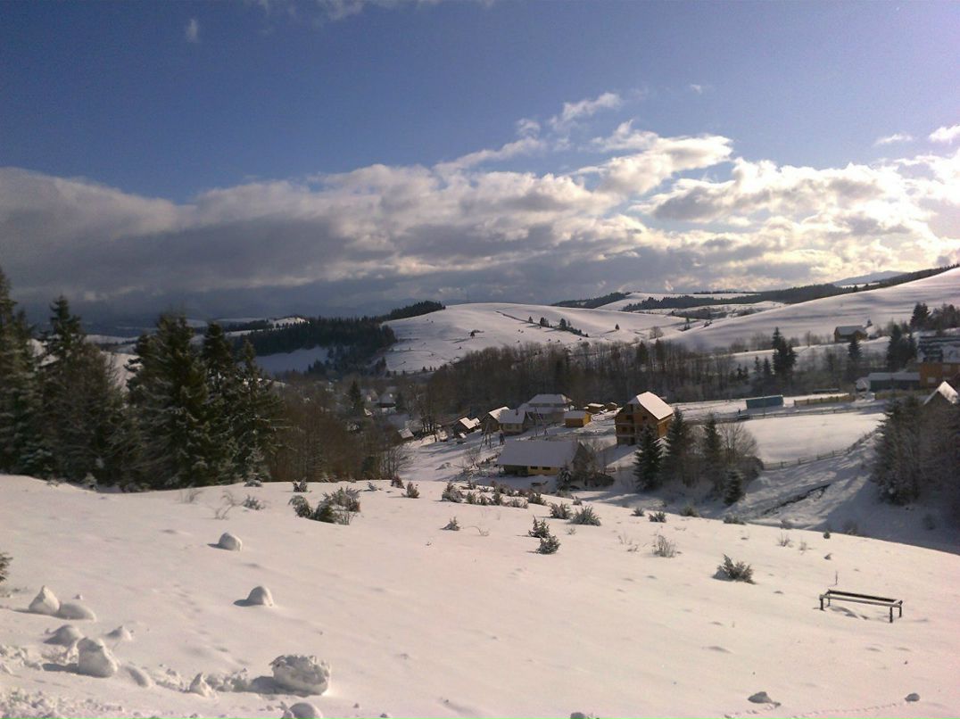 Acid X-Aus | Одесса