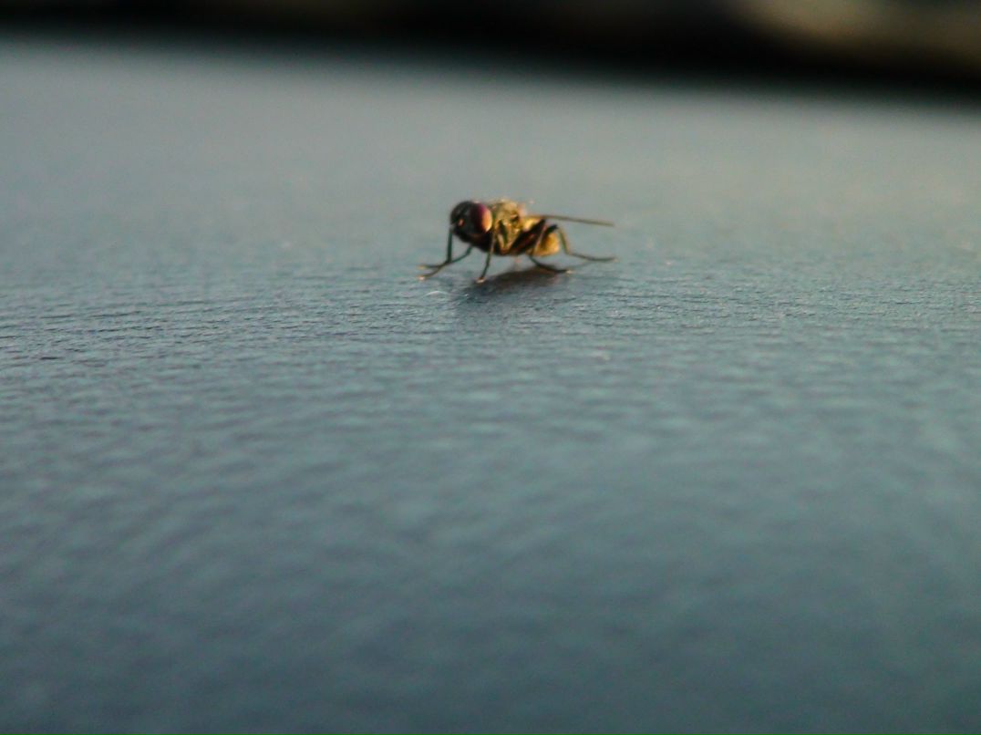 Олег Цирук | Тюмень