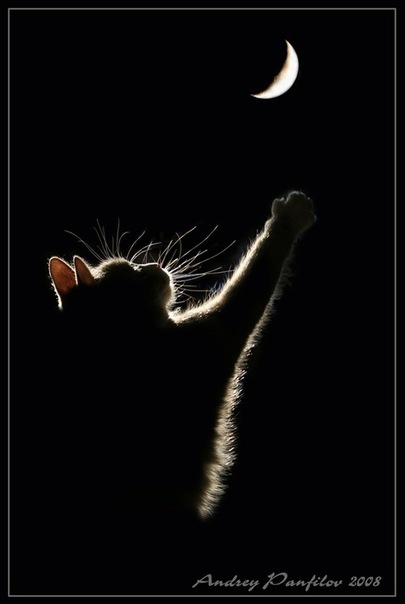 №150, Юлия Рулёва, Москва №150, Юлия Рулёва, Москва