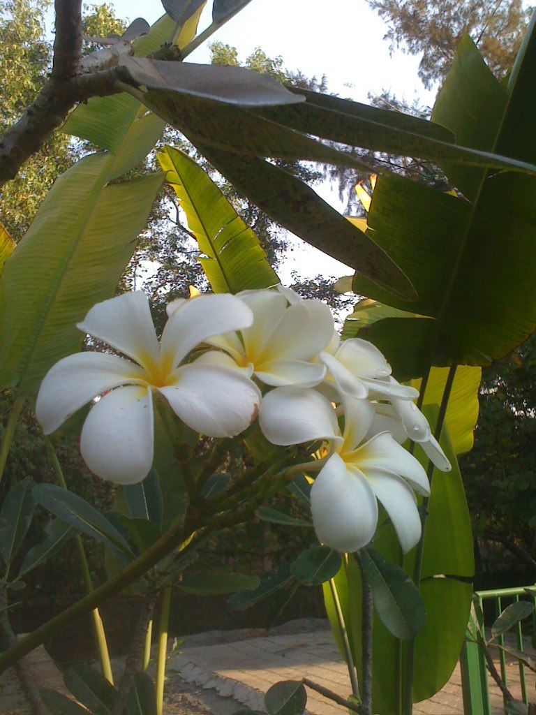 Татьяна Распопина | Санкт-Петербург