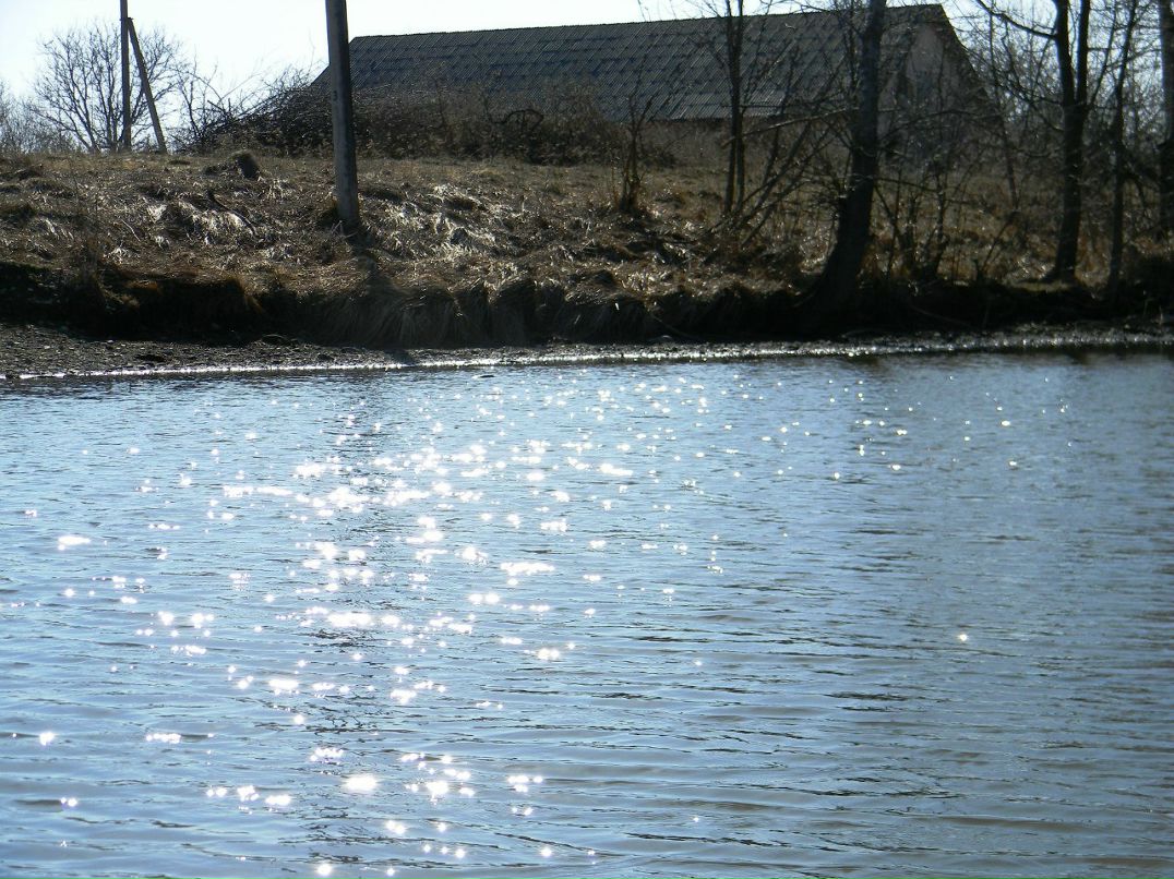 Ірина Гірка | Киев