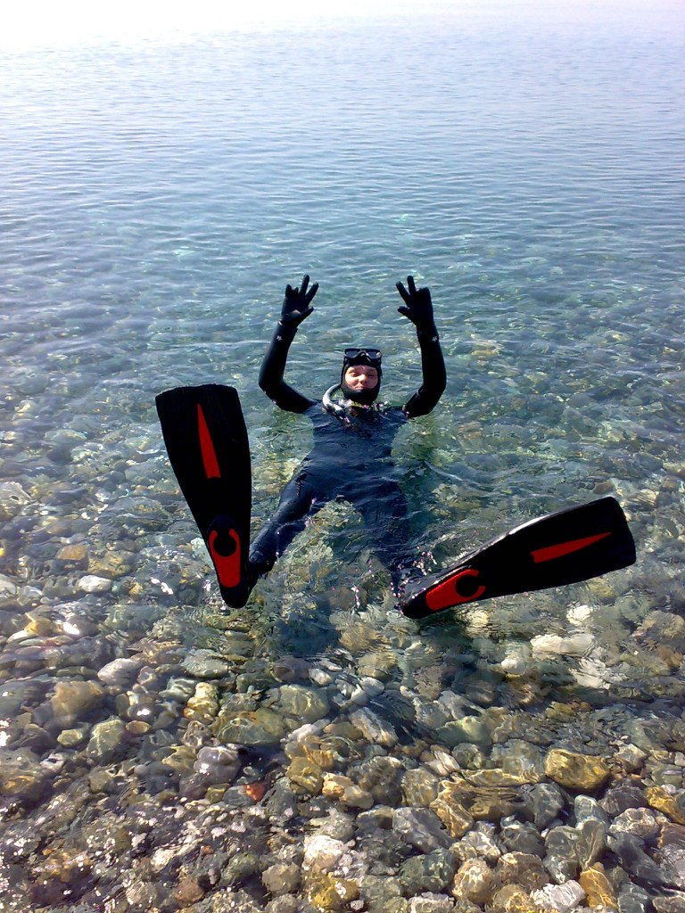 Александр Шехольцев | 