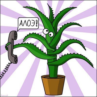 Андрей Колесников | Москва