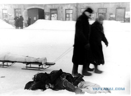 Александр Матвеев | Санкт-Петербург