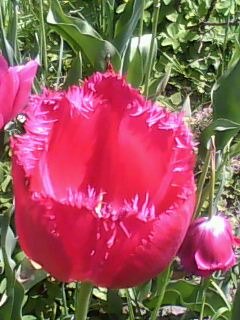 Александр Матюшев | Калининград