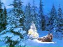 Фотография Костик Евтушок