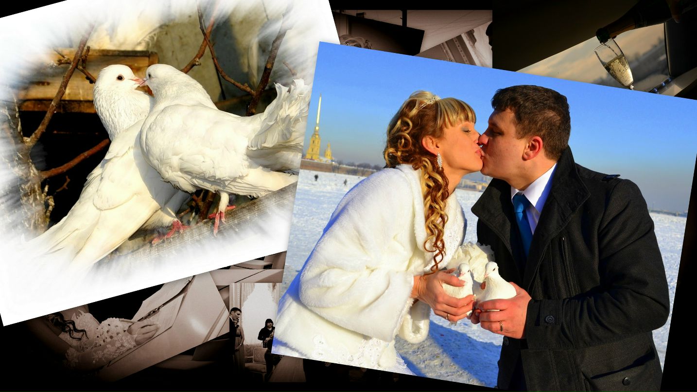 Светлана Сайфулина | Санкт-Петербург