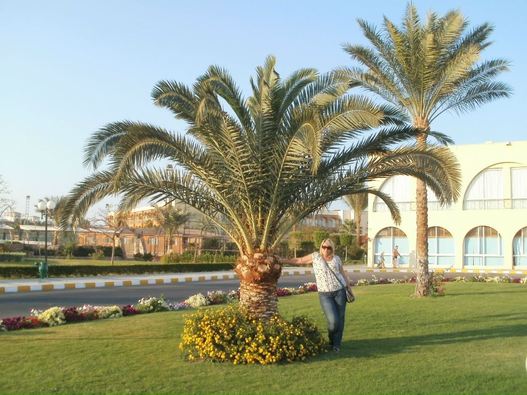 Наташа Васильева-Яржинская | Москва