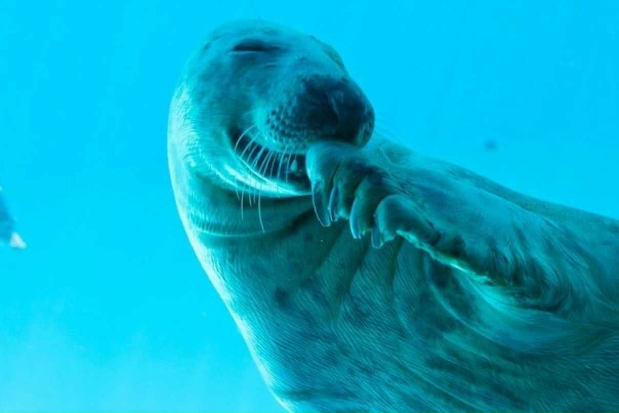 Максим Шулика ⏝⎠⎷⎛⎝ | Минск