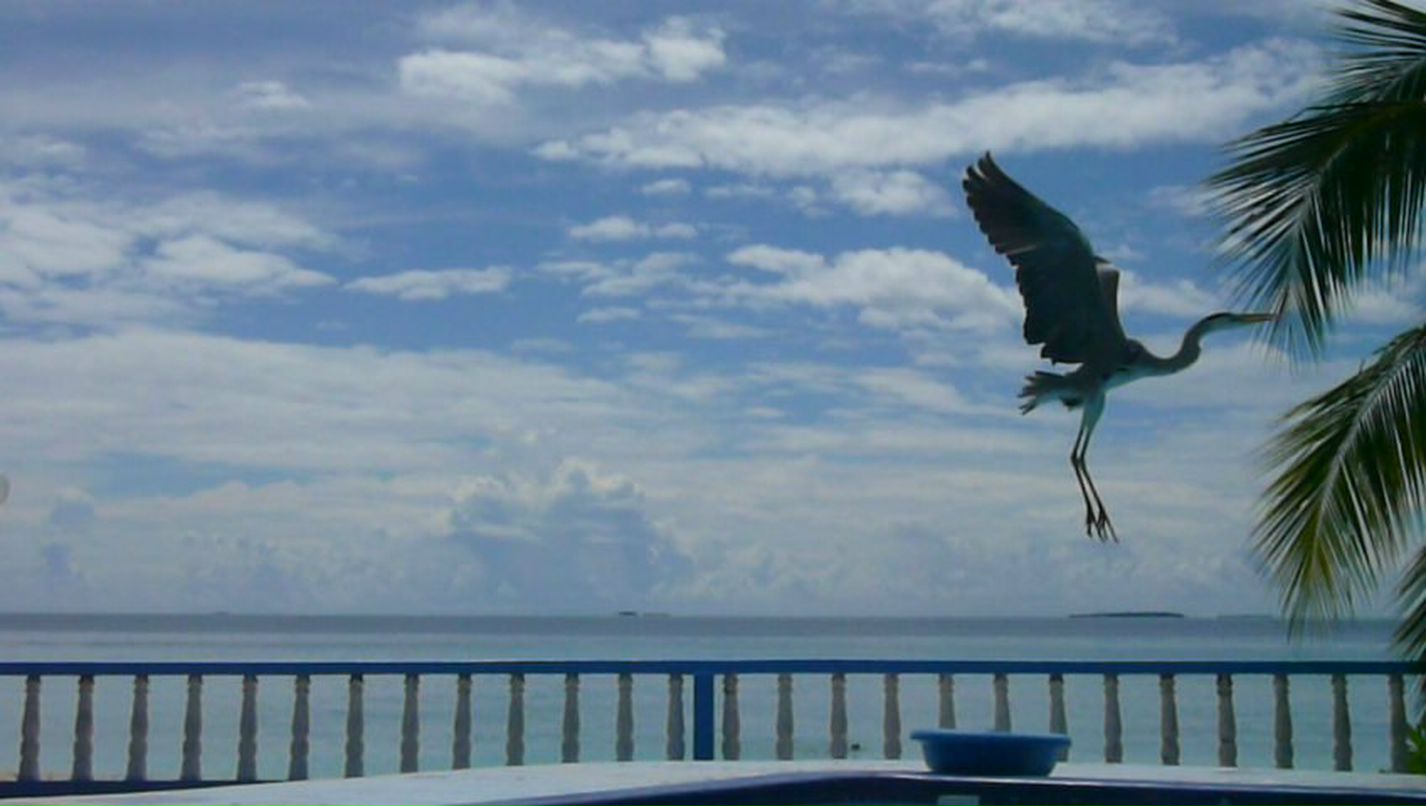 Андрей Kaгиров Алексеевич | Москва