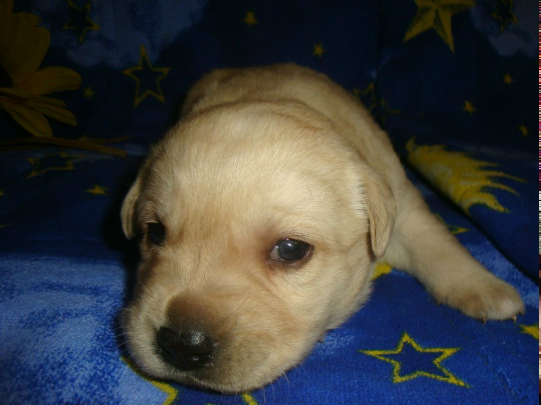 Валентина Битюк | Астрахань