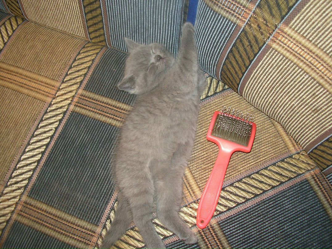 Людмила Девятникова | Петрозаводск