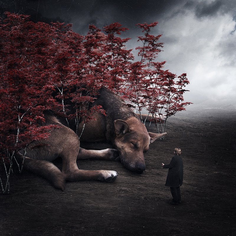 Алёна Красникова | 