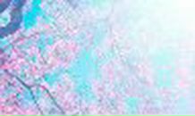 Анастасия Коротенко | Москва