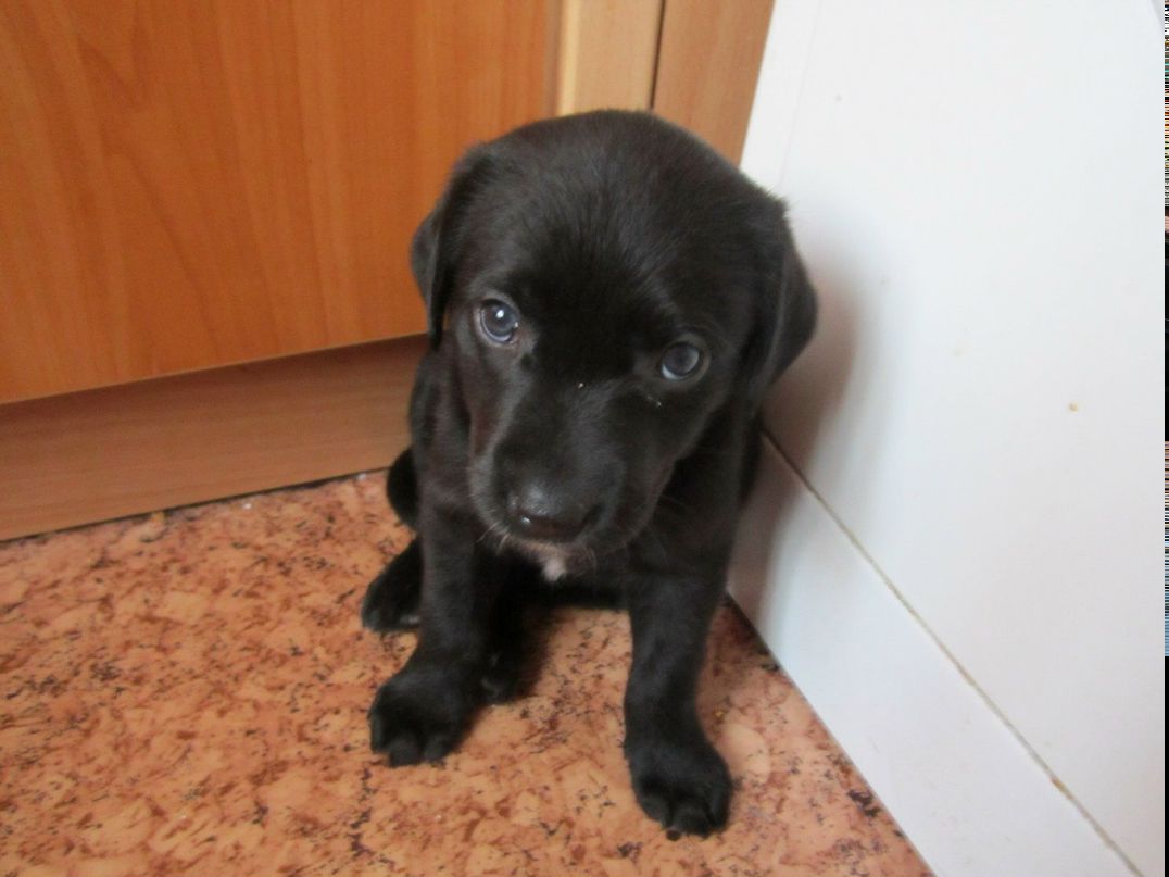 Марина Тимофеева | Великий Новгород