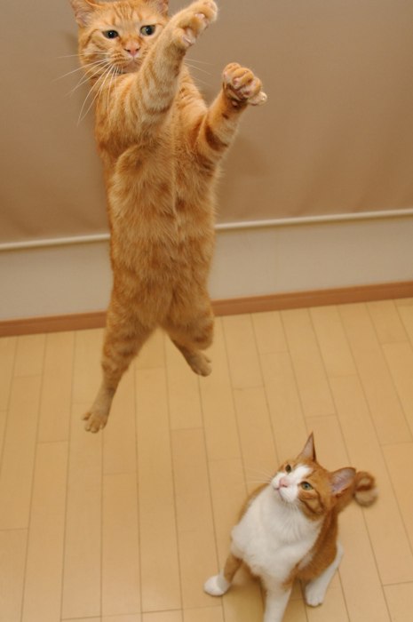 Ксюша Агафонова | Москва