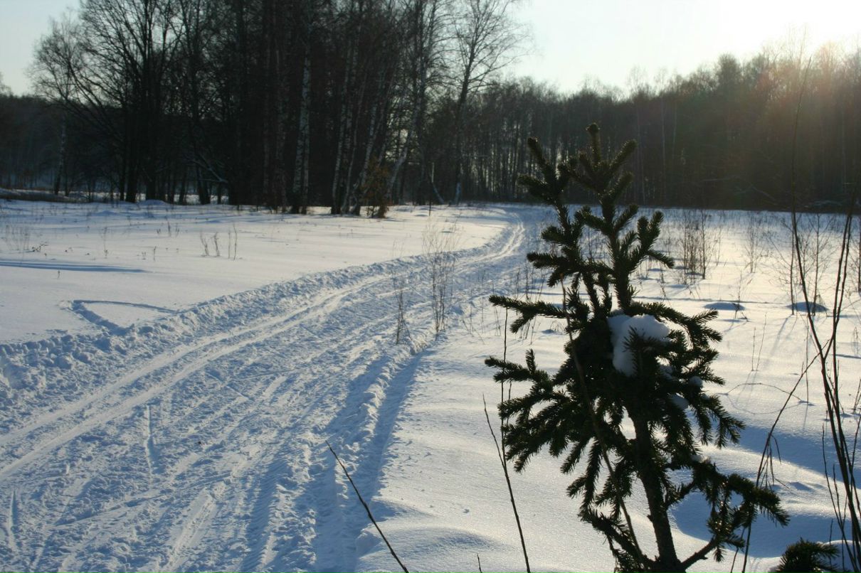 Алексей Чупарнов | Тула