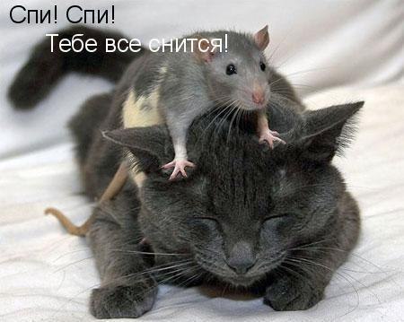 Любовь Макаренко | Санкт-Петербург