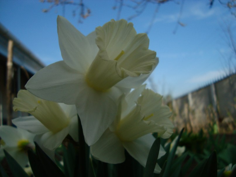 Татьяна Касьян | Кочубеевское