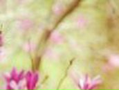 Наташа Иванова ღ | 