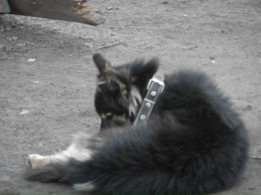 Валерій Ясиновий | Малая Антоновка