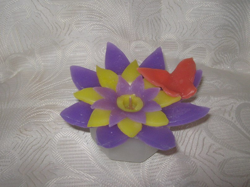 Надя Бичева | Симферополь