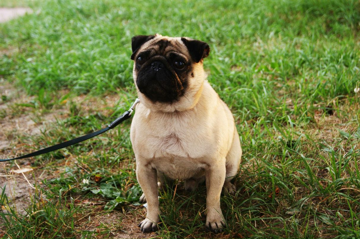 Катерина Жулюпова Hi11ory | Санкт-Петербург