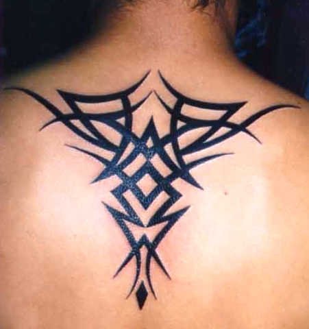 Олександр Стефаник | Турка