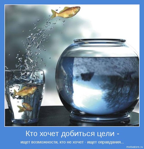 №87, Ольга Нова, Санкт-Петербург №87, Ольга Нова, Санкт-Петербург