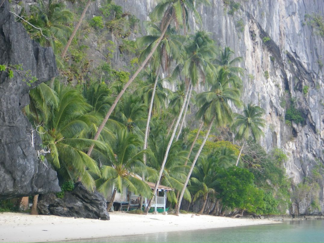 Вера Кондакова | Shenzhen