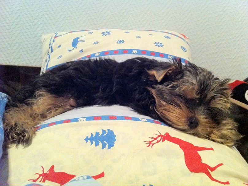 №25, Елена Шанаева, 42 года, Москва №25, Елена Шанаева, 42 года, Москва