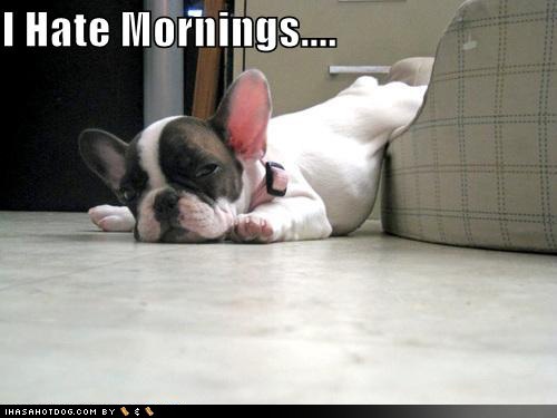 №35, Кристина Горец, 36 лет, Павлоград №35, Кристина Горец, 36 лет, Павлоград