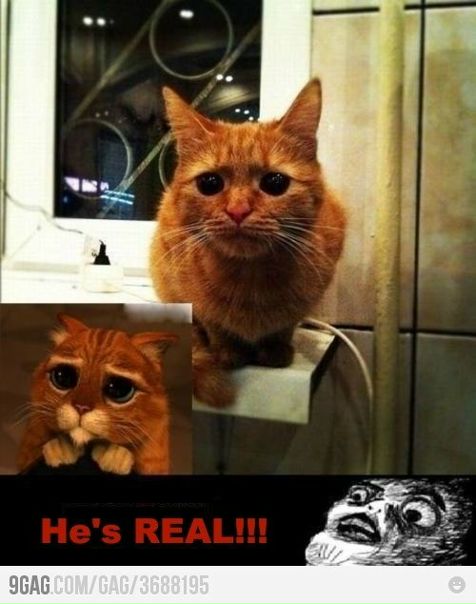 №26, Була Итегулов №26, Була Итегулов