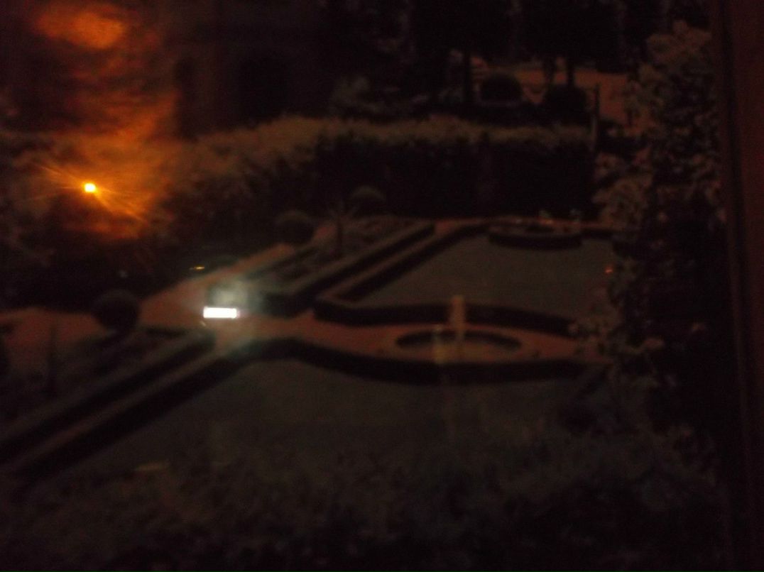 Иван Зарубин chesnый | Новосибирск