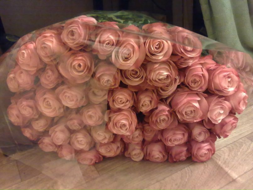 Кристина Лукашевич | Москва