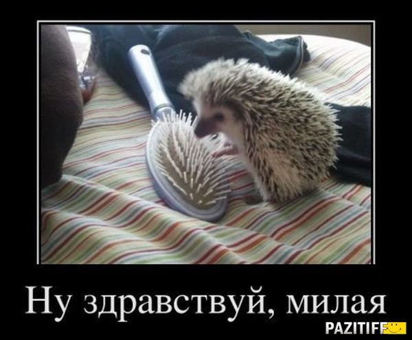 Инна Пархоменко | Павлоград
