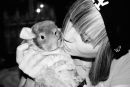 №12 Вероника Иванова 19.12.1995: профиль, фото, статус - ВКонтакте