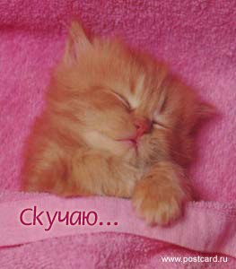 Ирина Шилова | Нижний Новгород