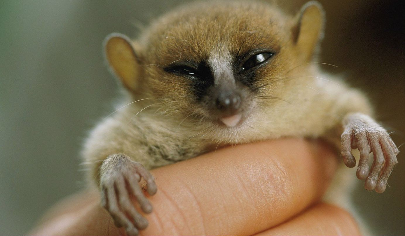 Настька Ивахина | Самара