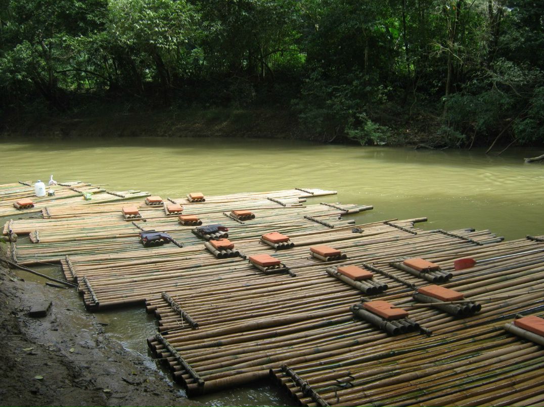 Денис Моляков | Москва