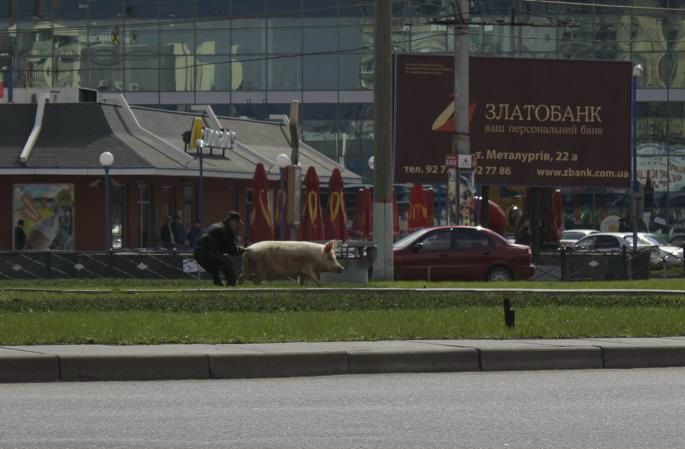 №23, Максим Анискин, 38 лет, Кривой Рог №23, Максим Анискин, 38 лет, Кривой Рог