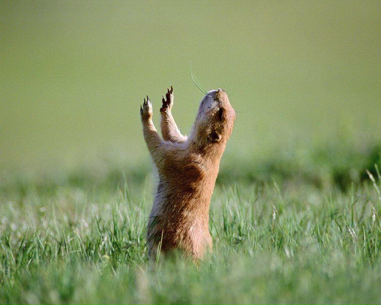 №46, Виктория Васильковский, Одесса №46, Виктория Васильковский, Одесса