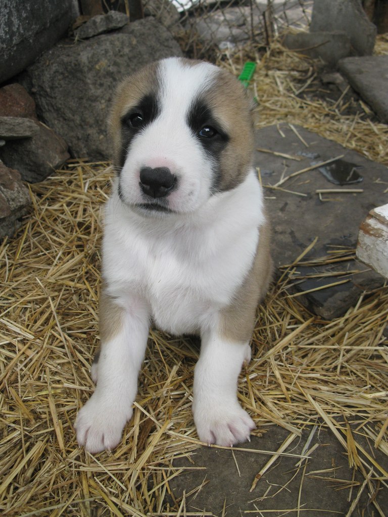 Дарья Харина | Москва